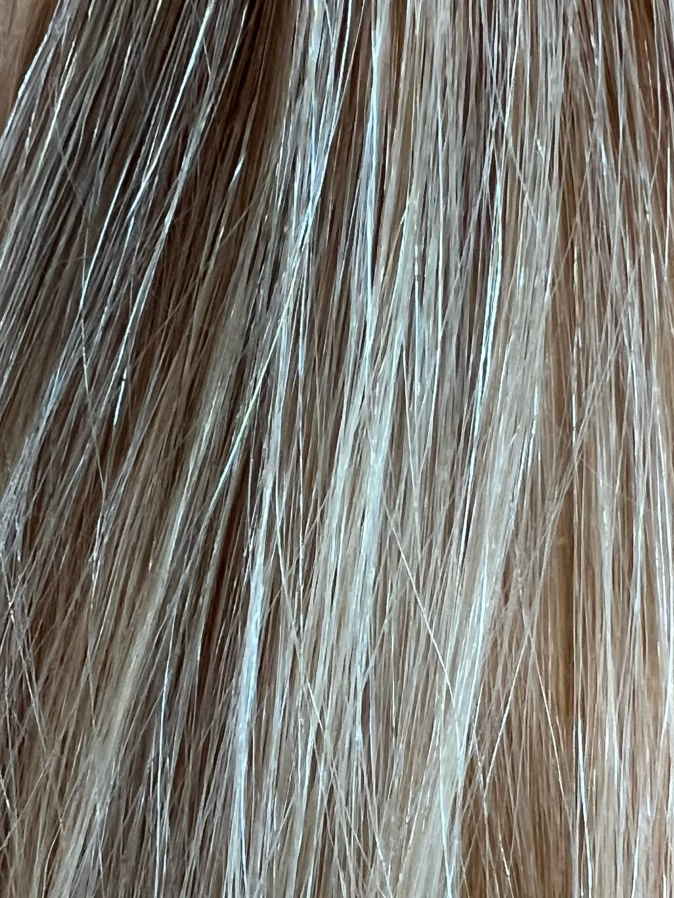 Mago Highlighted - Straight