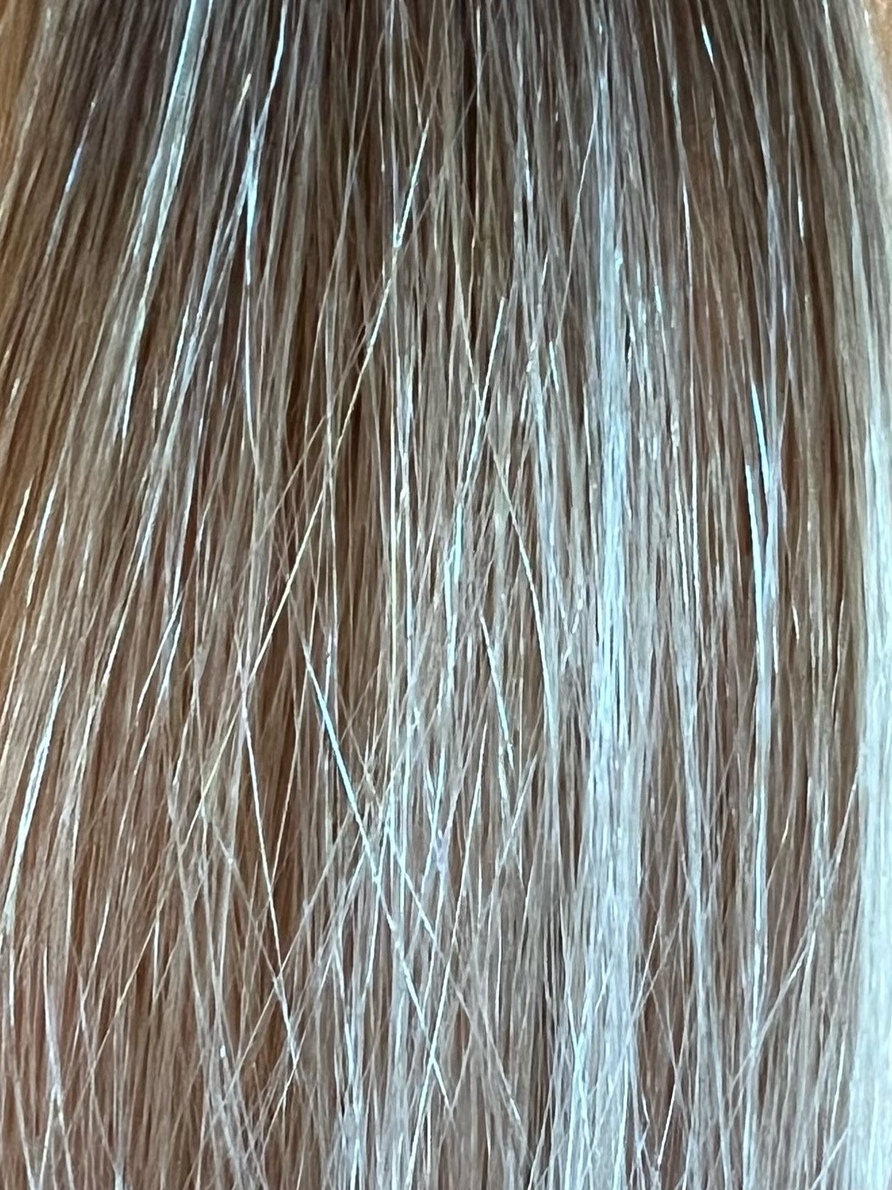 Mago Rooted - Straight